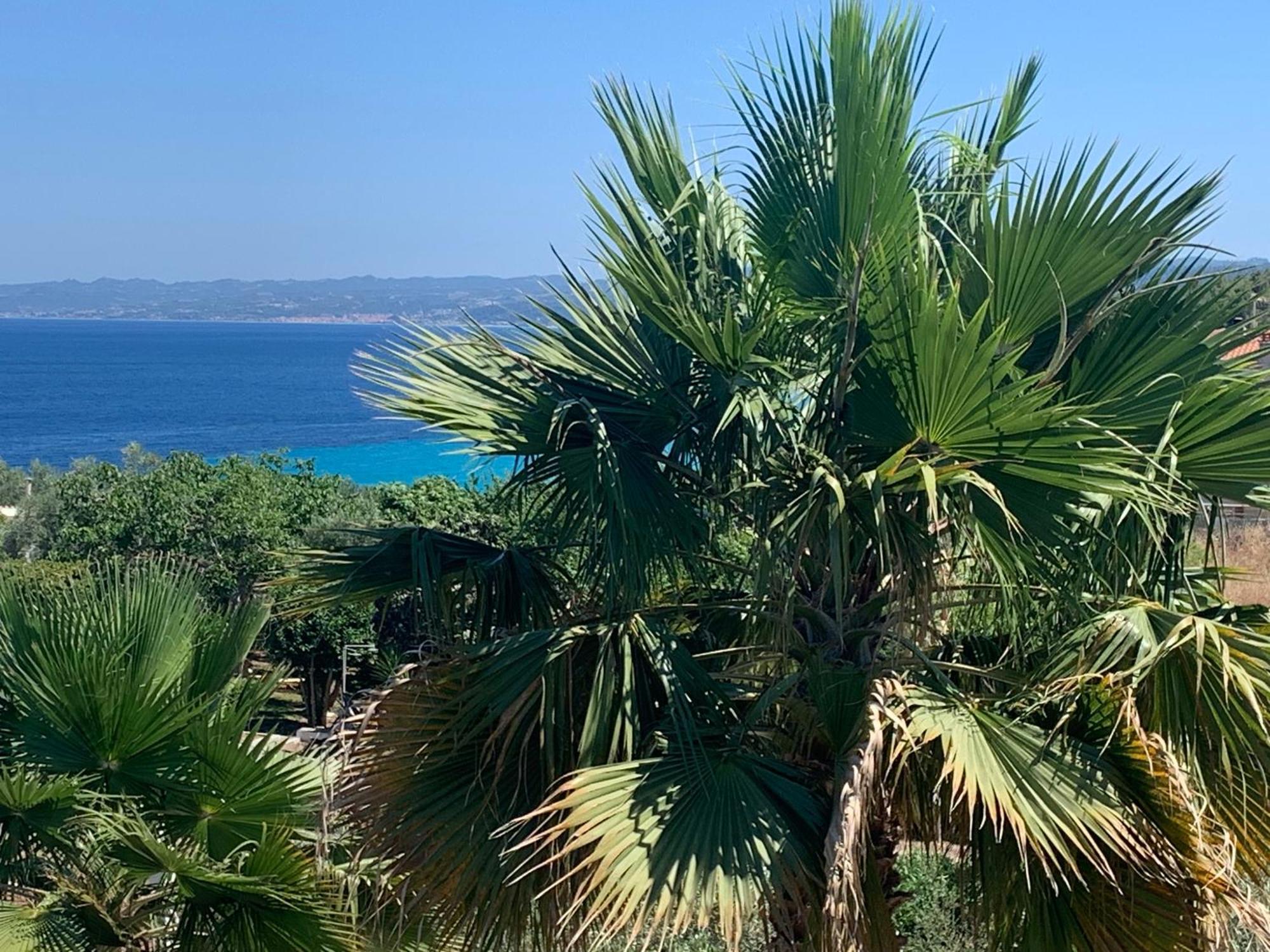 Villa Evita , Penthouse, 53M2 ,Athytos 450M From The Beach アフィトス エクステリア 写真